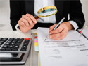 auditor